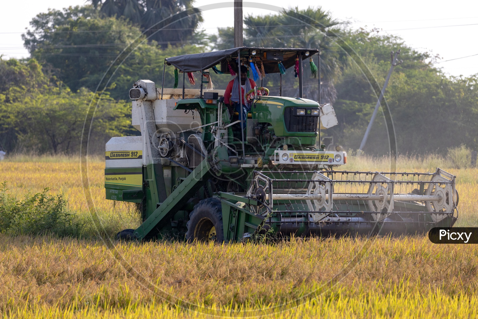 Farmer Harvesting the Crop