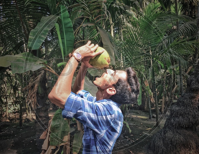 Indian Man Drinking Coconut in Summer