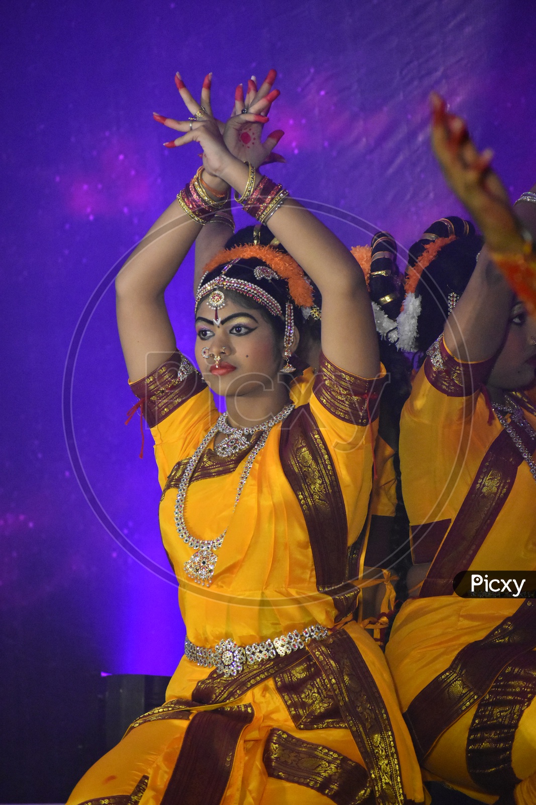 Classical Dancer (Bharatanatyam)