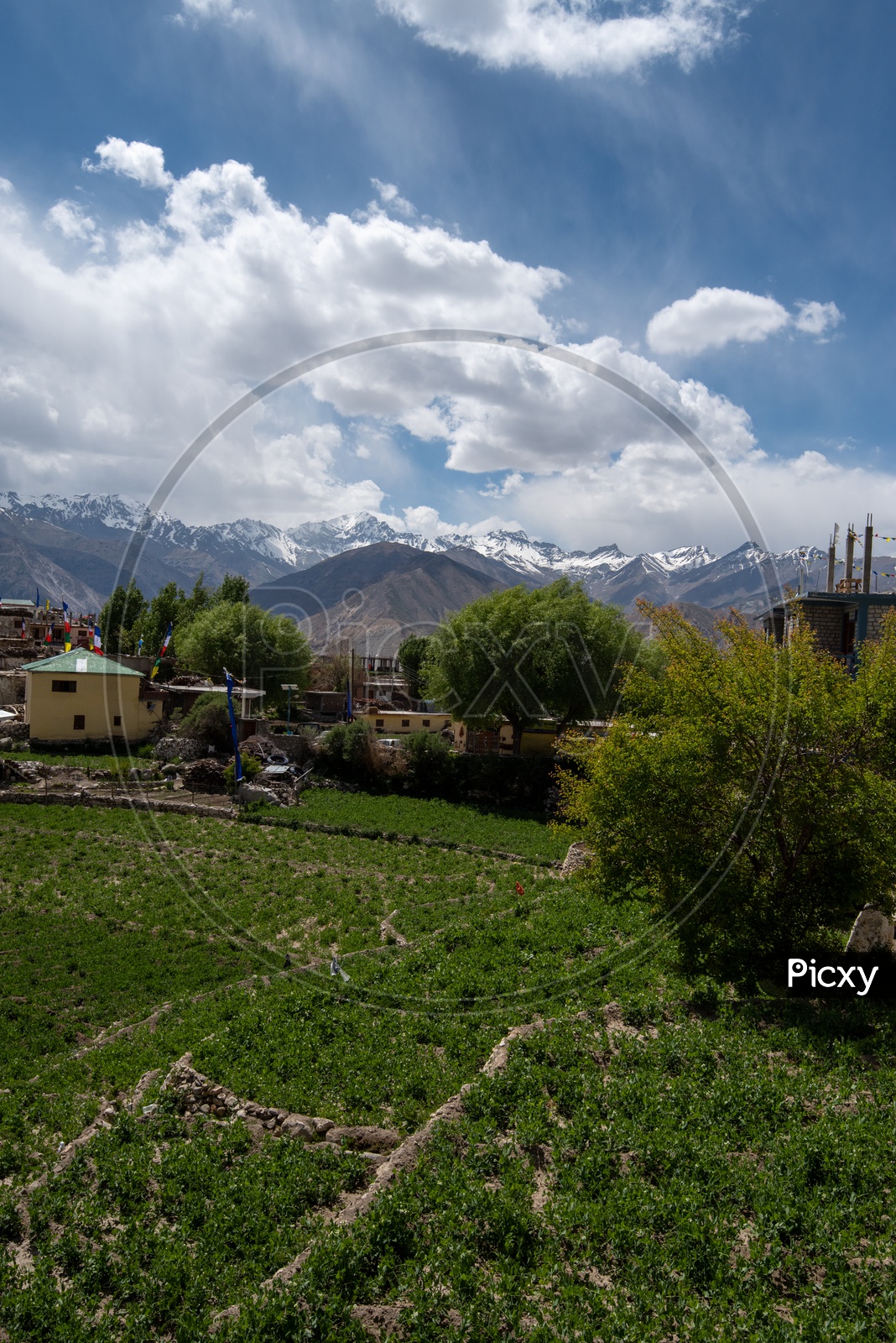 Snow Capped Mountains of Spiti Valley with agriculture fields and houses