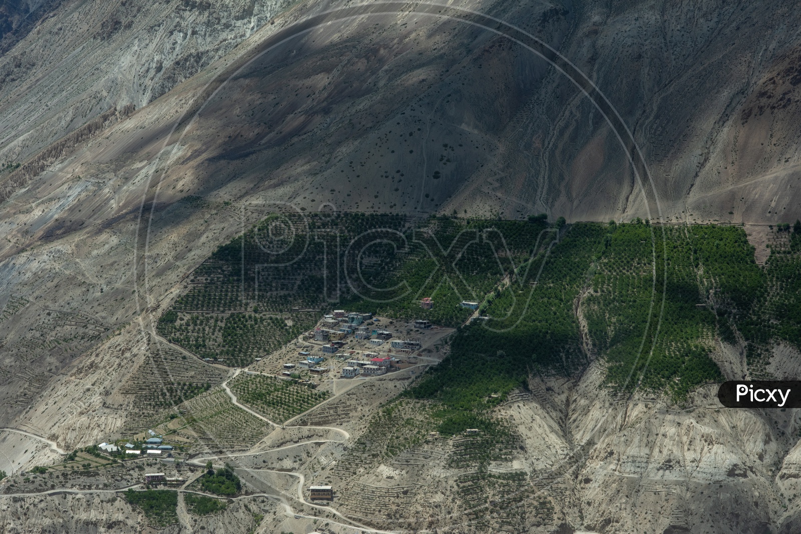 Mountains of Spiti Valley with agriculture fields