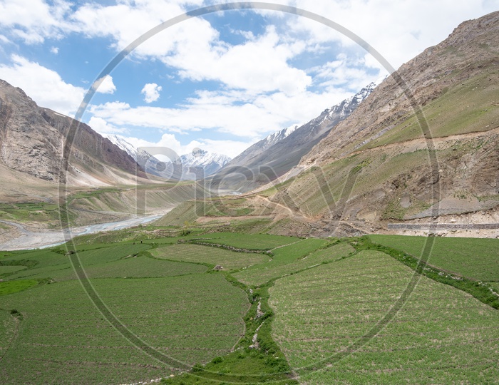 Mountains of Spiti Valley with agriculture fields in foreground