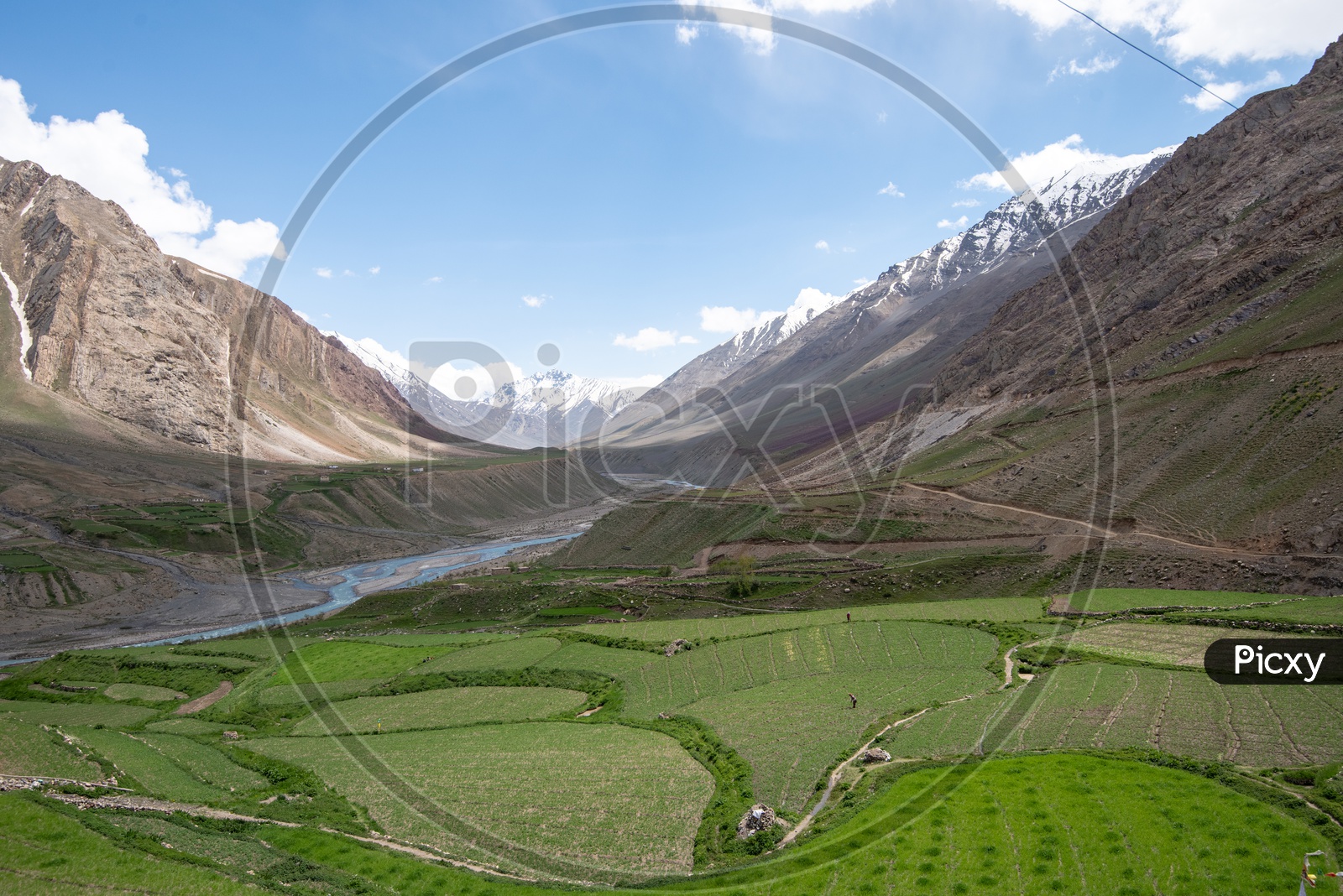Agricultural farm lands in the Spiti Valley with snow clad mountains in the background