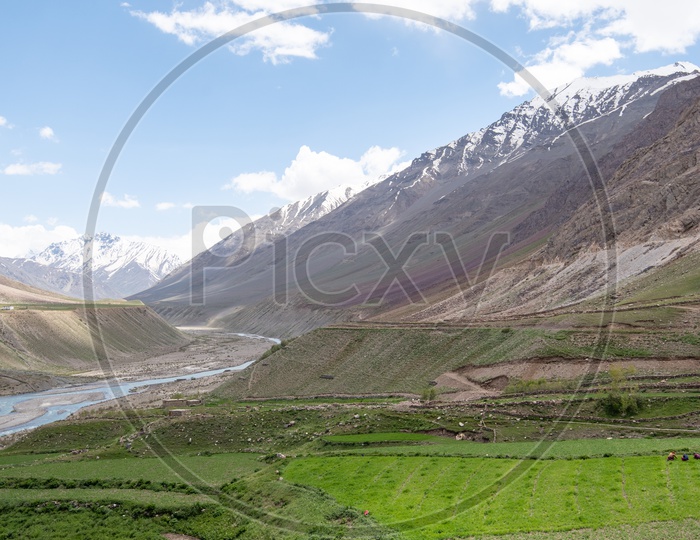 Mountains of Spiti Valley with agriculture fields in foreground