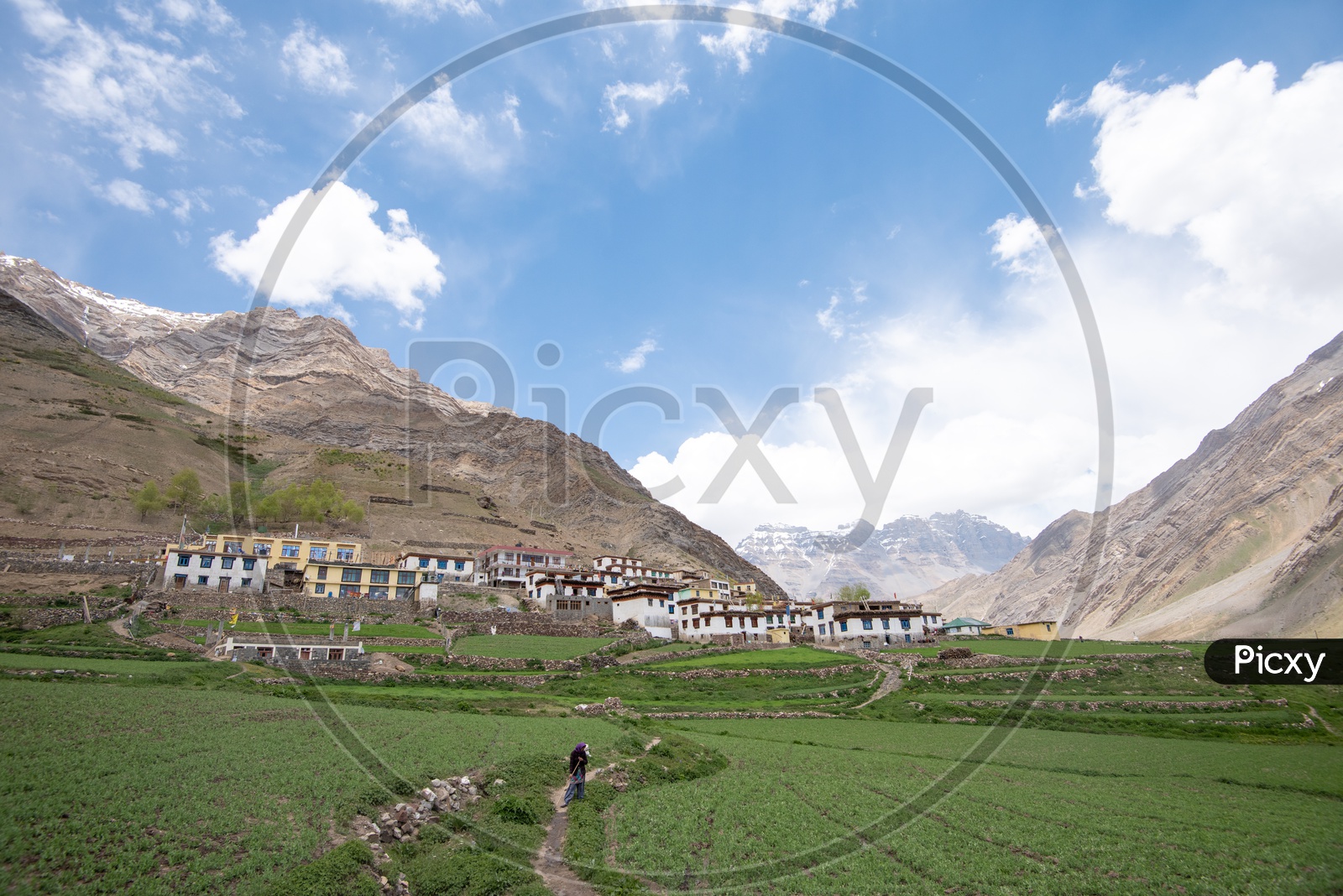 Agricultural farm lands and houses in Spiti valley