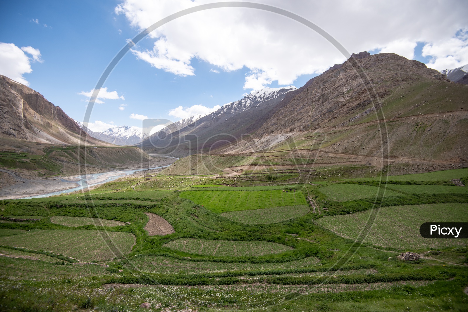 Snow capped Mountains of Spiti Valley with agriculture fields in foreground