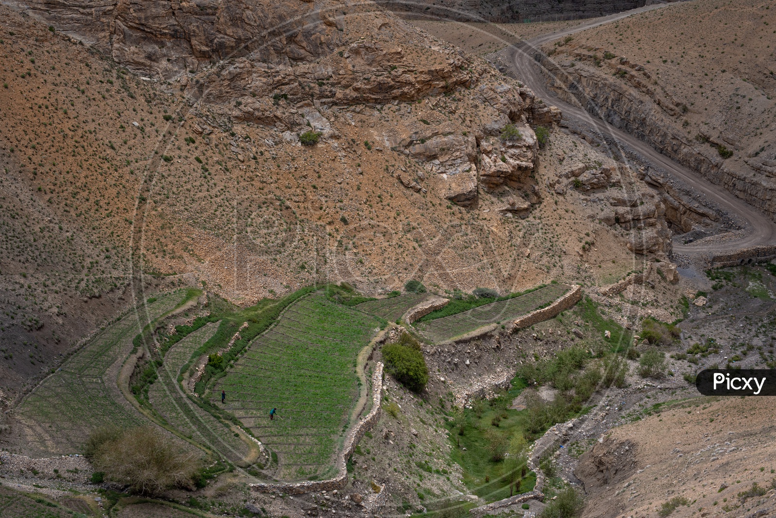 Aerial view of agriculture fields in Spiti Valley