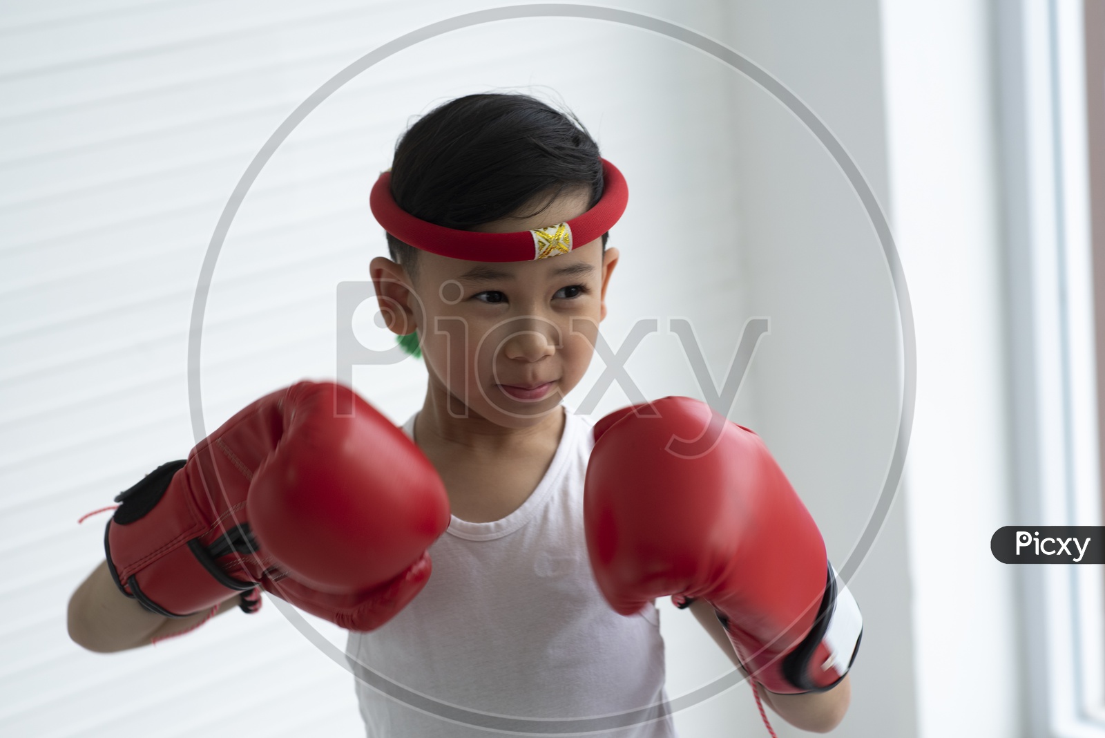 A Young Thai  Boxer Wearing Boxer Gloves and Posing