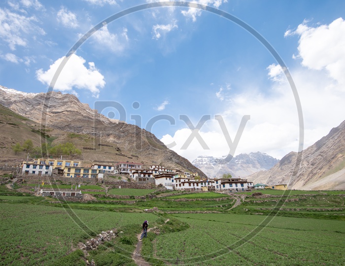Agricultural farm lands and houses in Spiti valley