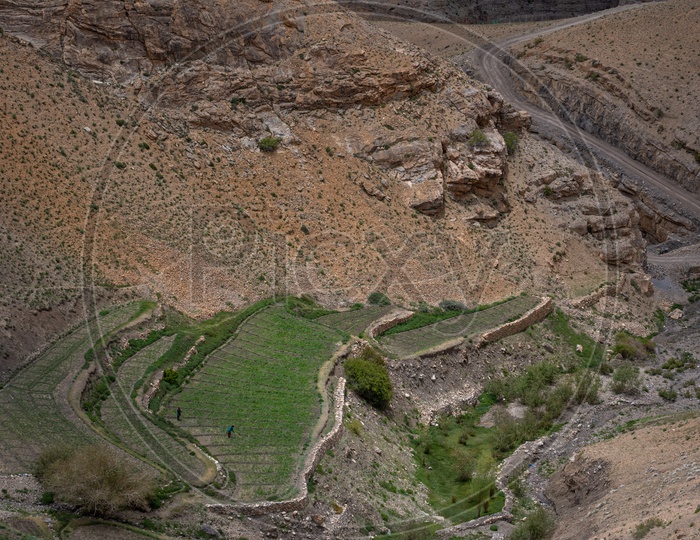 Aerial view of agriculture fields in Spiti Valley