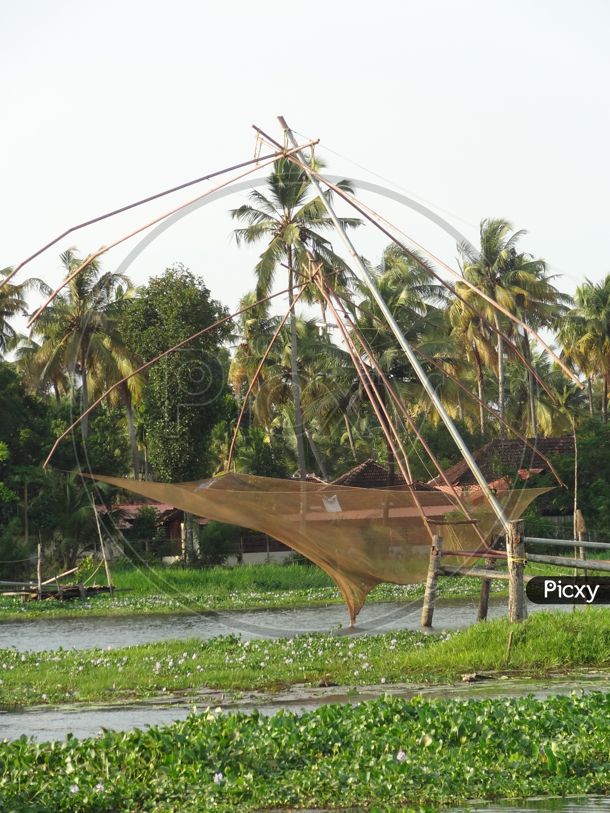 Chinese fishing net in Kerala backwaters