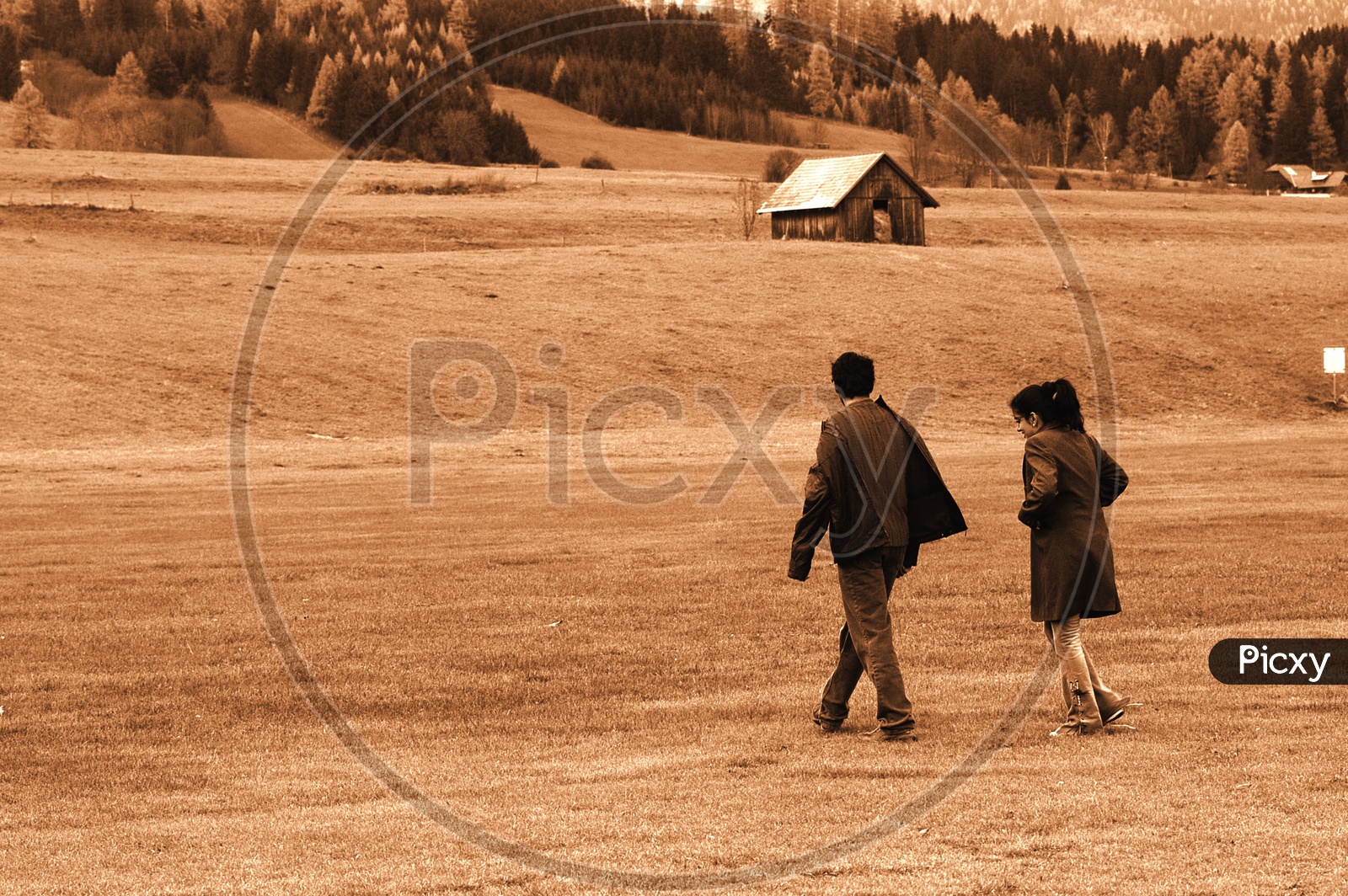 Couple walking in the meadows