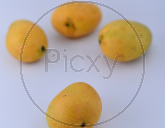 Fresh Banginapalli Mangoes On an Isolated White Background