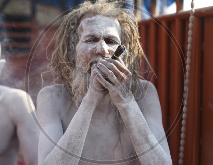 Indian Naga Sadhus Or Babas Or Aghoras Smoking Weed or Ganja   at Kumbh Mela