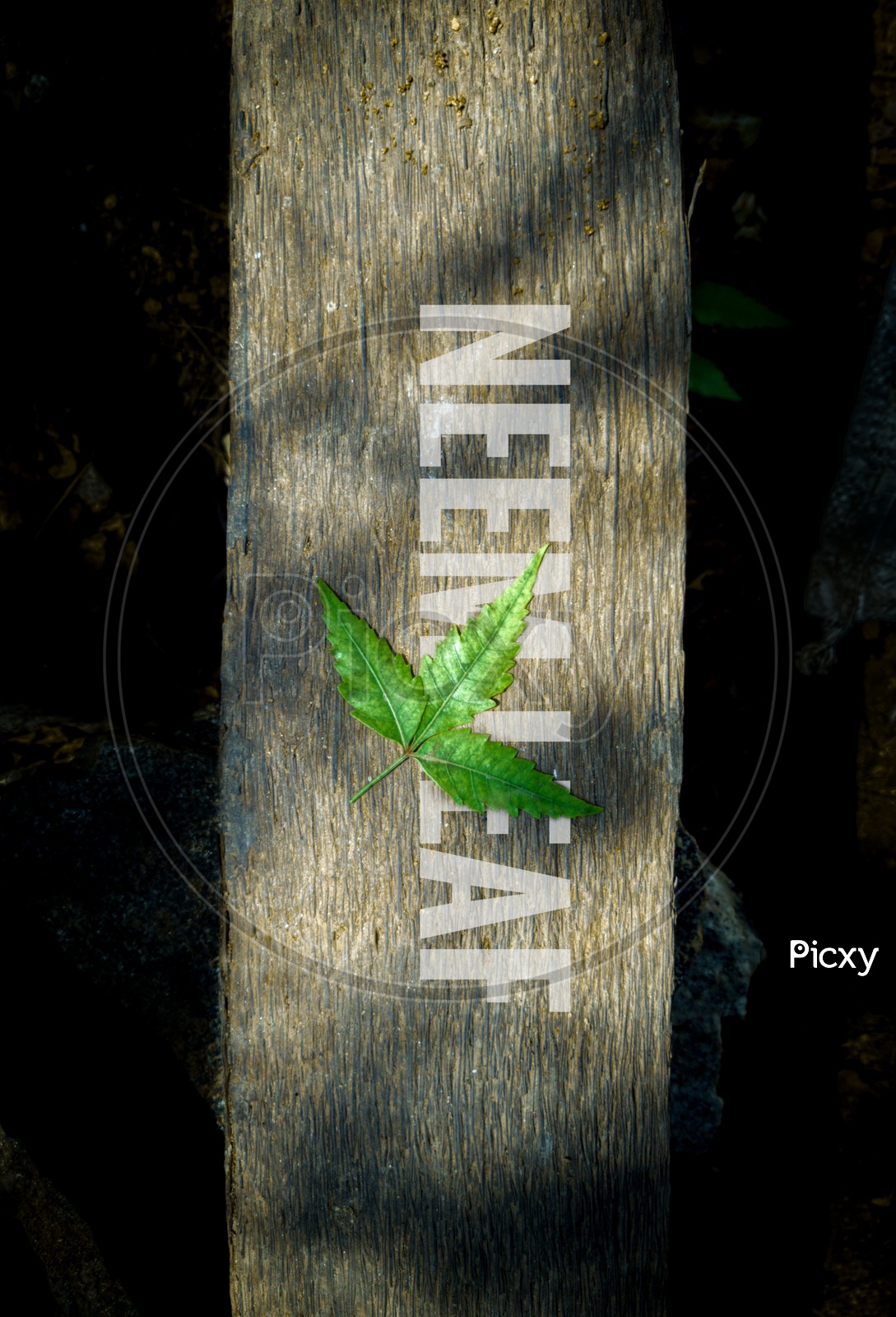 Neem Leaf On a Wooden Background