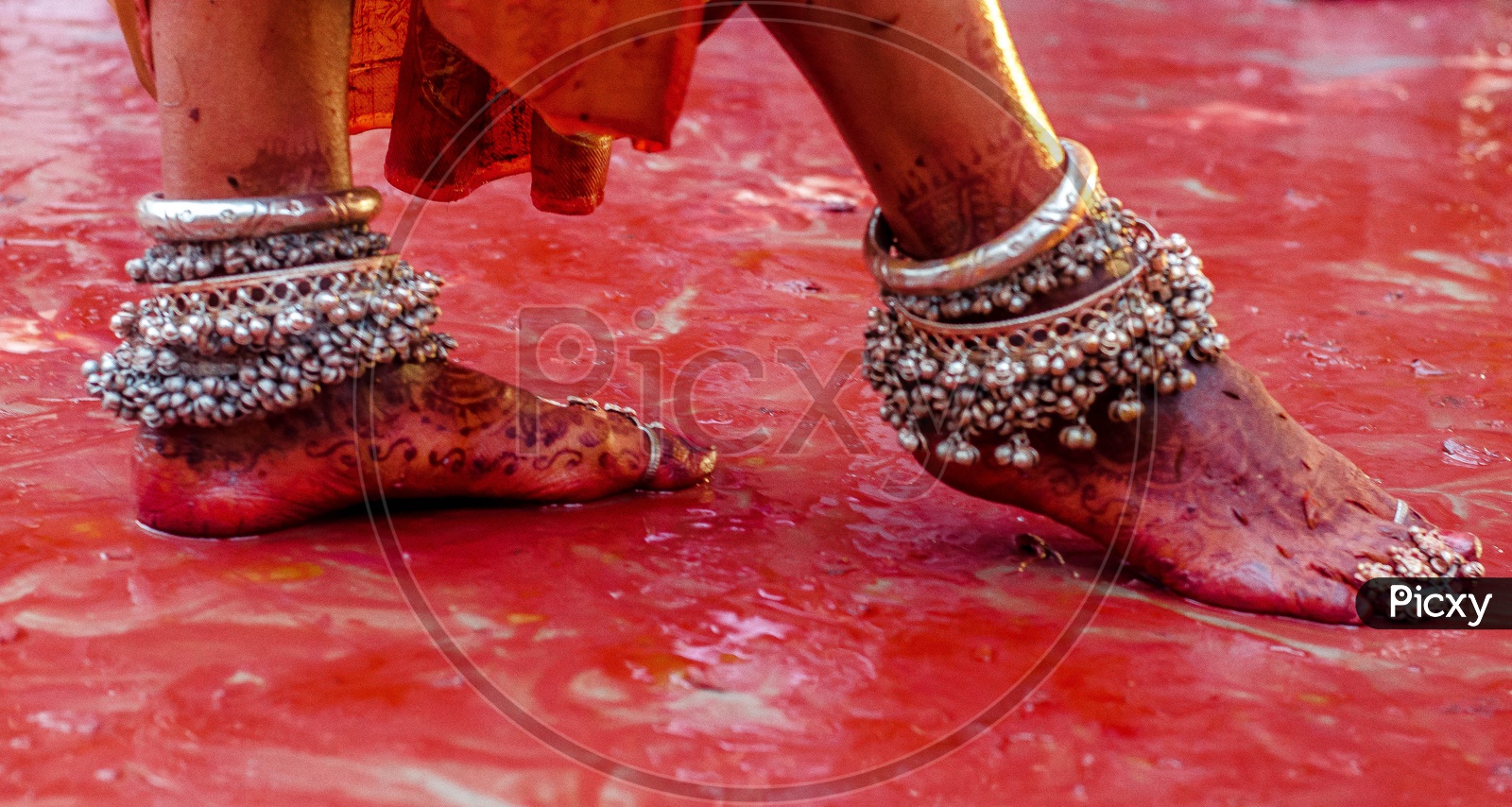 Indian Traditional Woman Wearing The Anklets  In Lathmar Holi