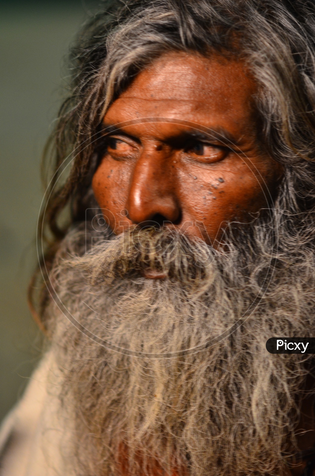 Portrait of a  Indian Sadhu Or Baba With Beard