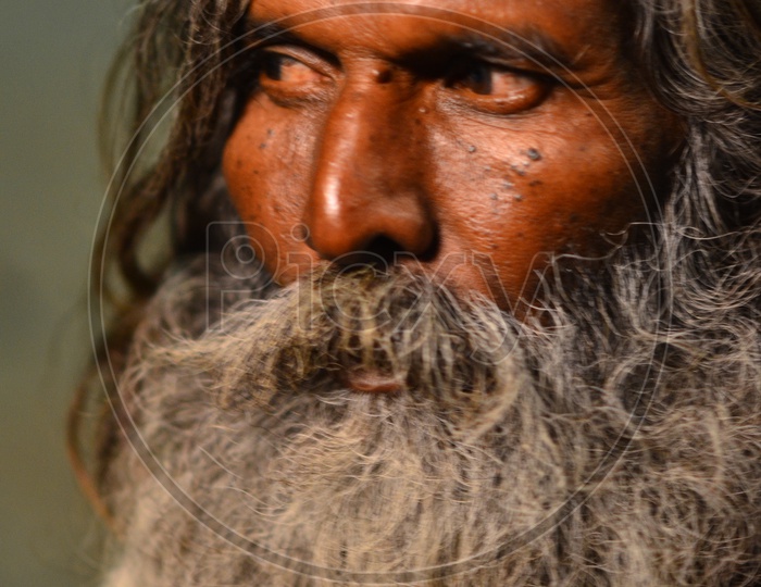 Portrait of a  Indian Sadhu Or Baba With Beard