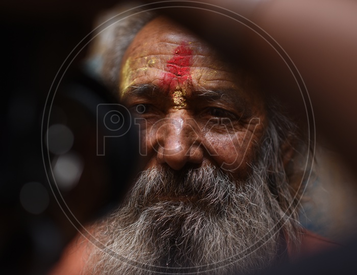 Portrait Of an Indian Hindu Sadhus or Babas  in Kumbh Mela