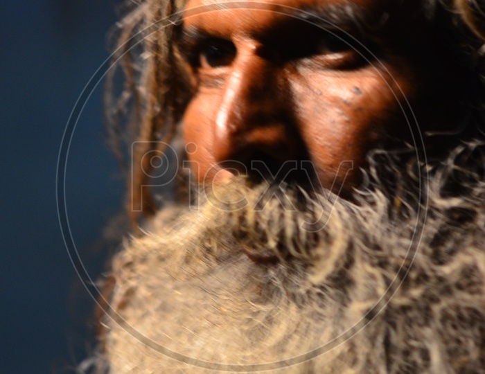 Portrait Of Indian Sadhu or Baba  With Beard