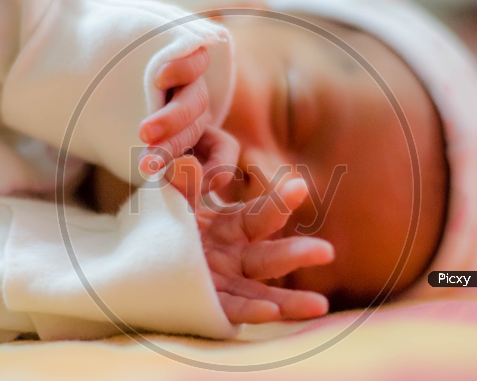 Hands Closeup Of a Sleeping Baby