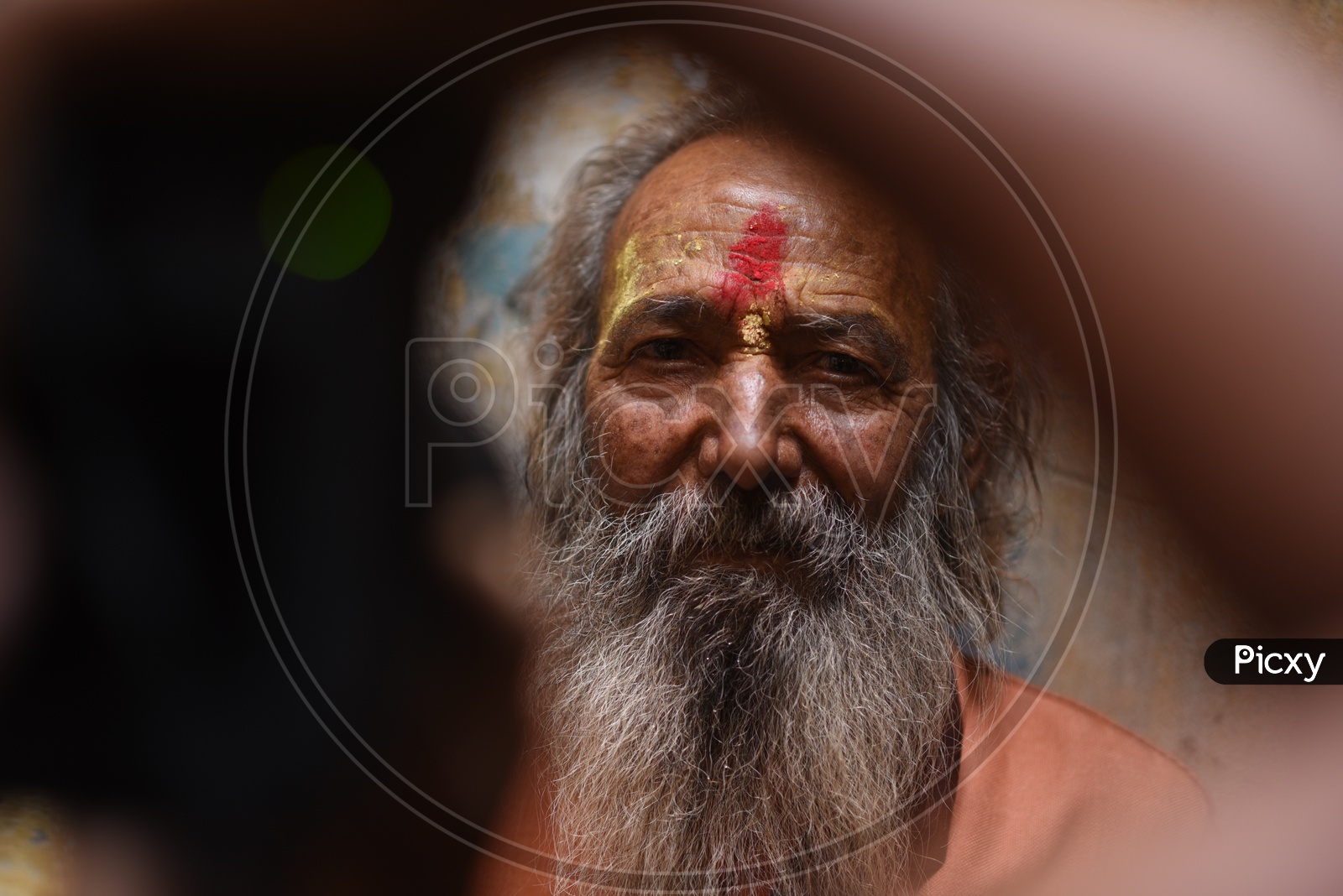 Portrait Of an Indian Hindu Sadhus or Babas  in Kumbh Mela