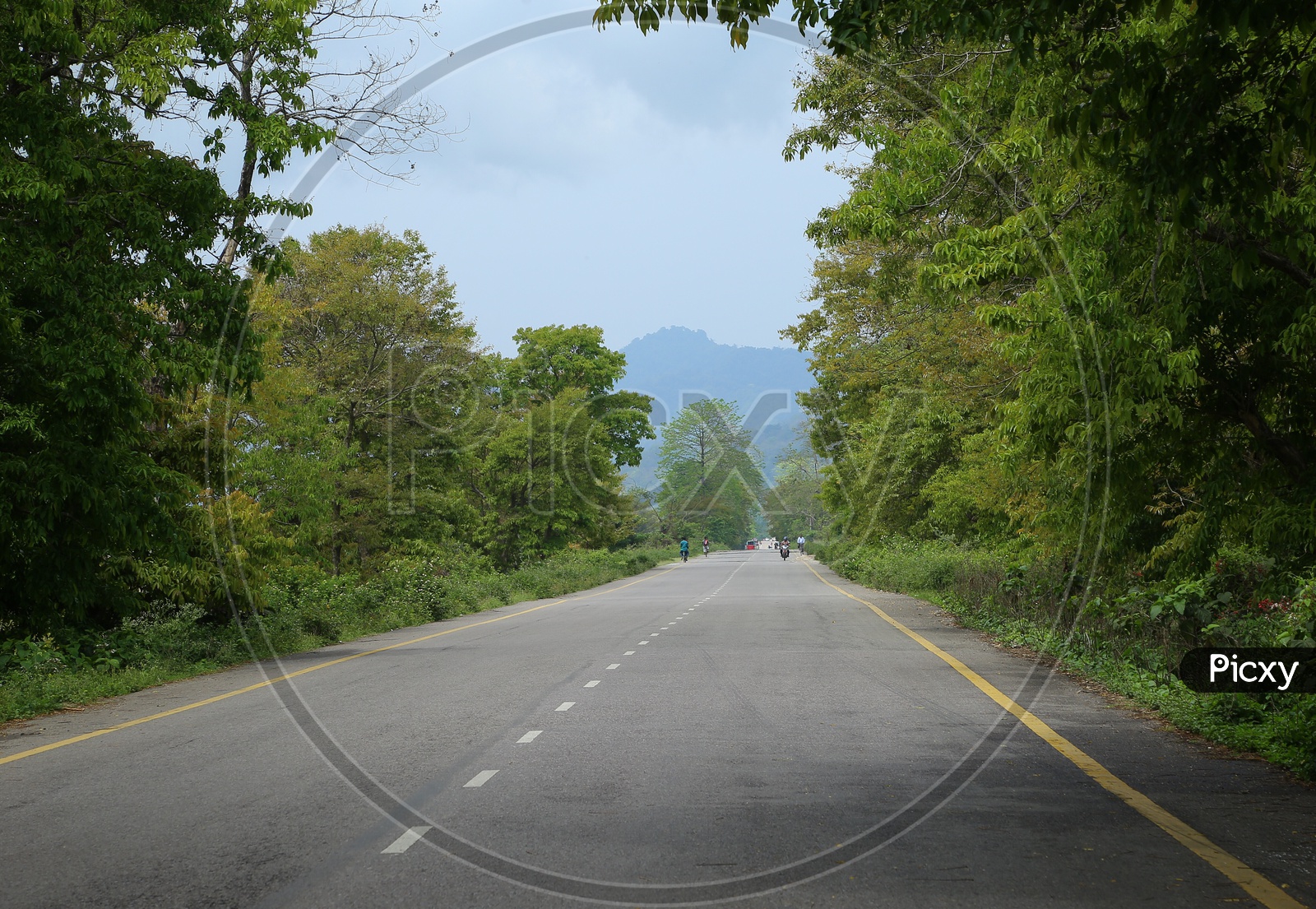 Scenic roads of northeast India m