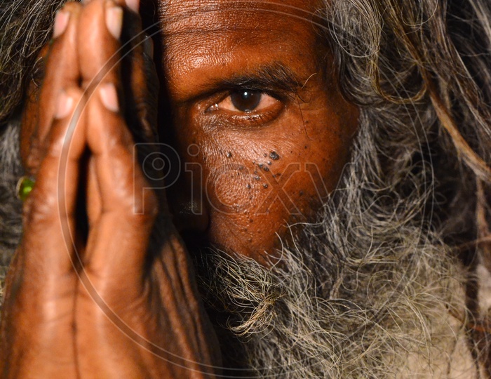 Portrait Of an Indian Sadhu Or Baba