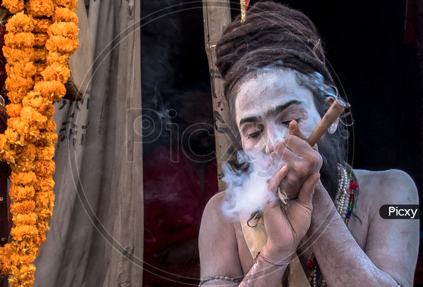 Indian Naga Sadhus Or Babas Or Aghoras  Smoking Weed or Ganja   at Kumbh Mela
