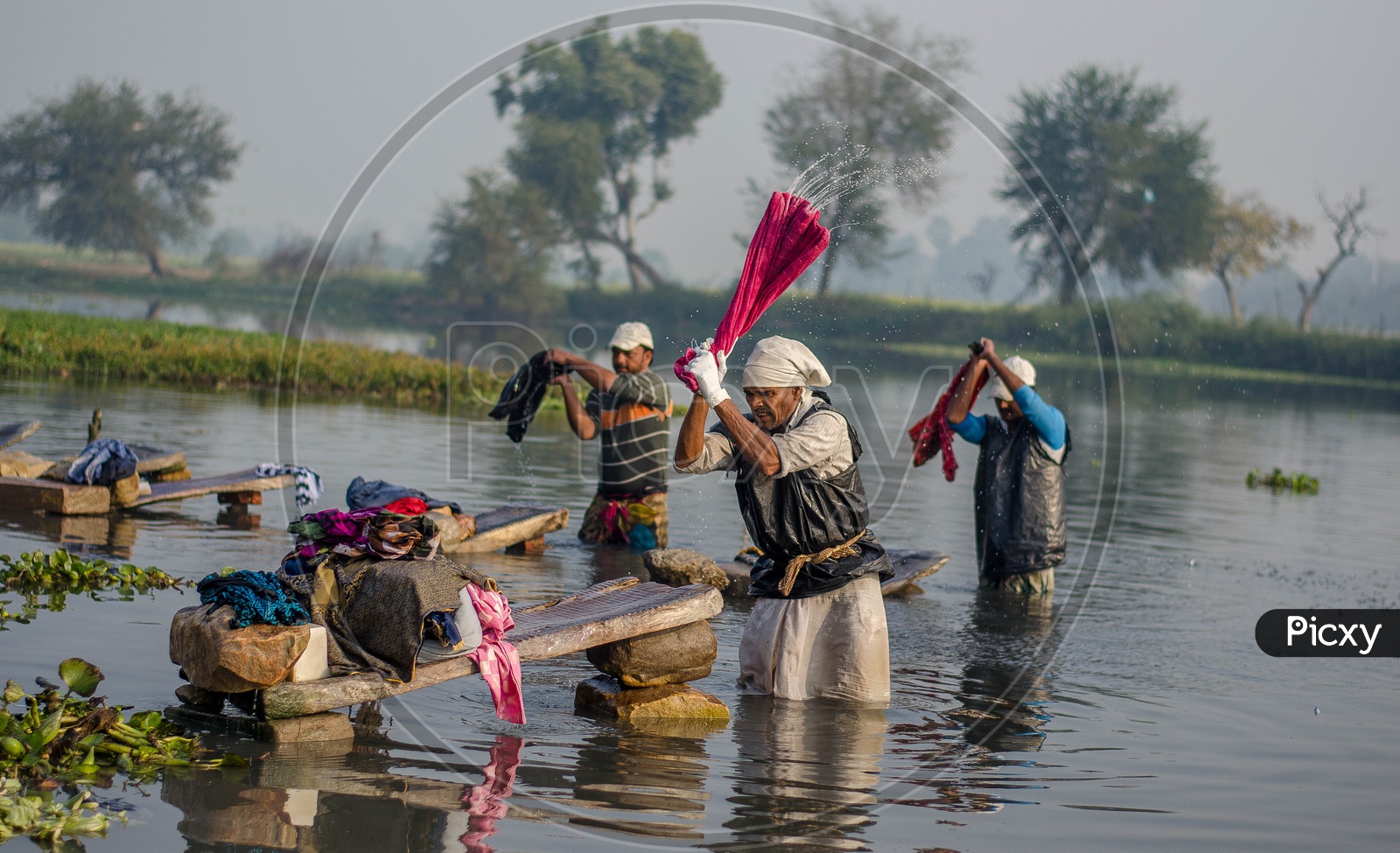 Cloth Washers Or Dhobi  Washing Clothes On a Lake Water in Rural Areas