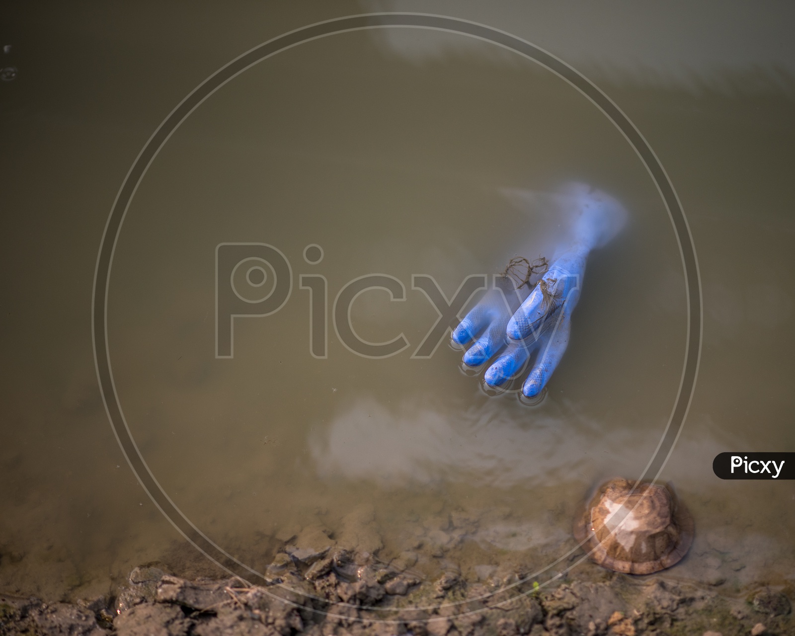 Indian God Statue Hand on a Pond Water