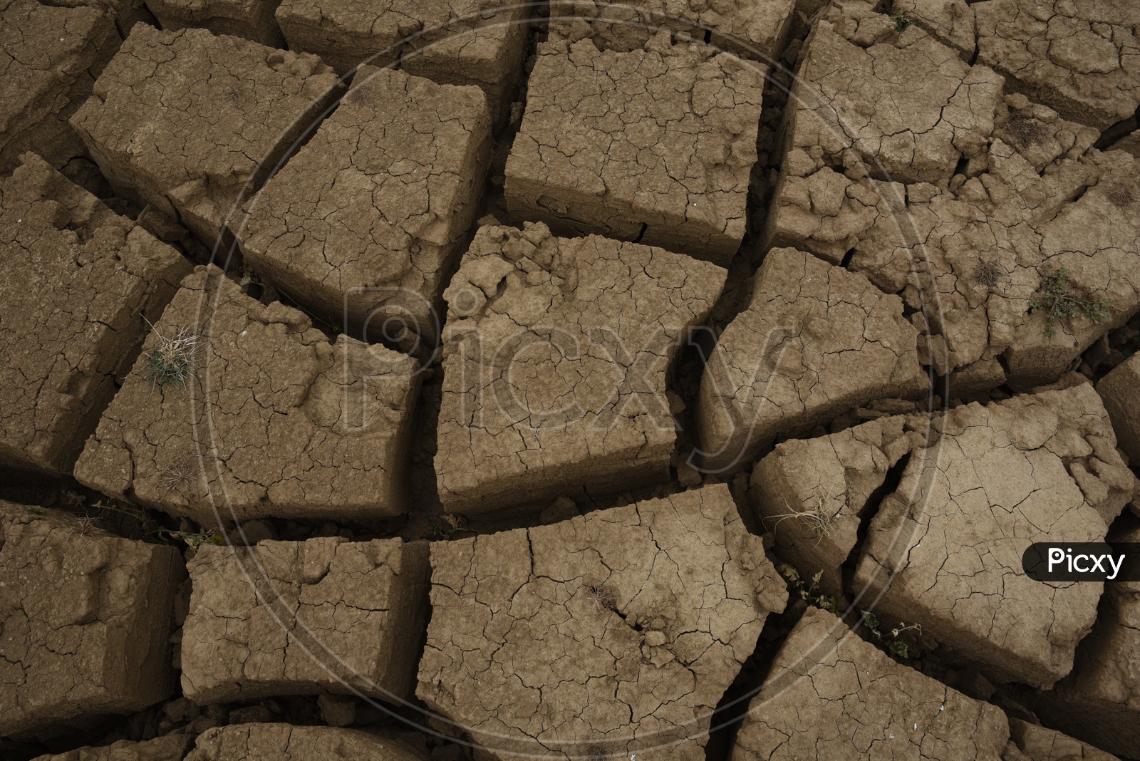 Dried Land With Cracks or Drought Lands