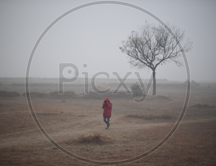 A Man Walking At Barren Lands In Morning Mist With a Lone Tree In Background