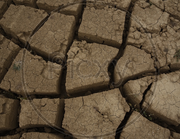 Dried Land With Cracks or Drought Lands