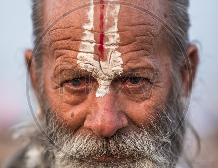 Indian Sadhu Or Baba    in Kumbh Mela