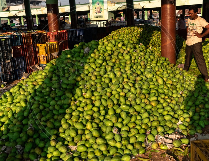 Image of Farmers unloading the mangoes stock at Kothapet fruit market