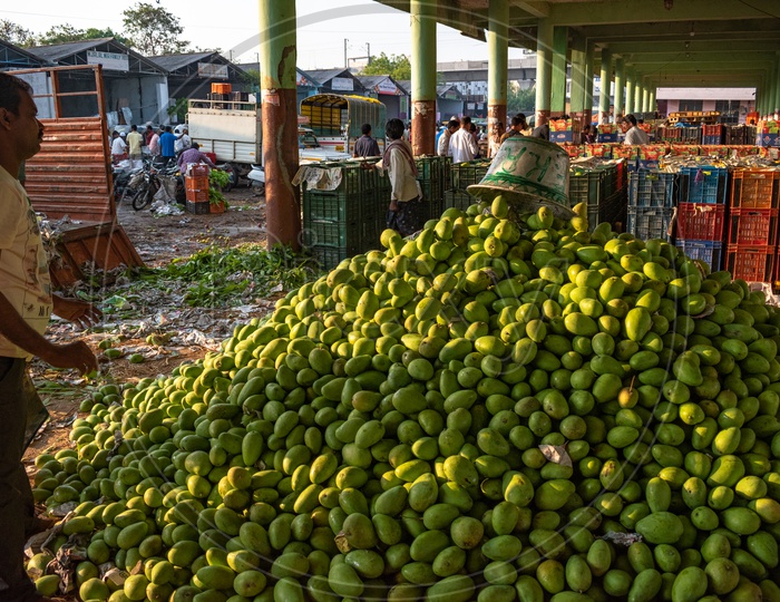 Farmers unloading the mangoes stock at Kothapet fruit market, Hyderabad.