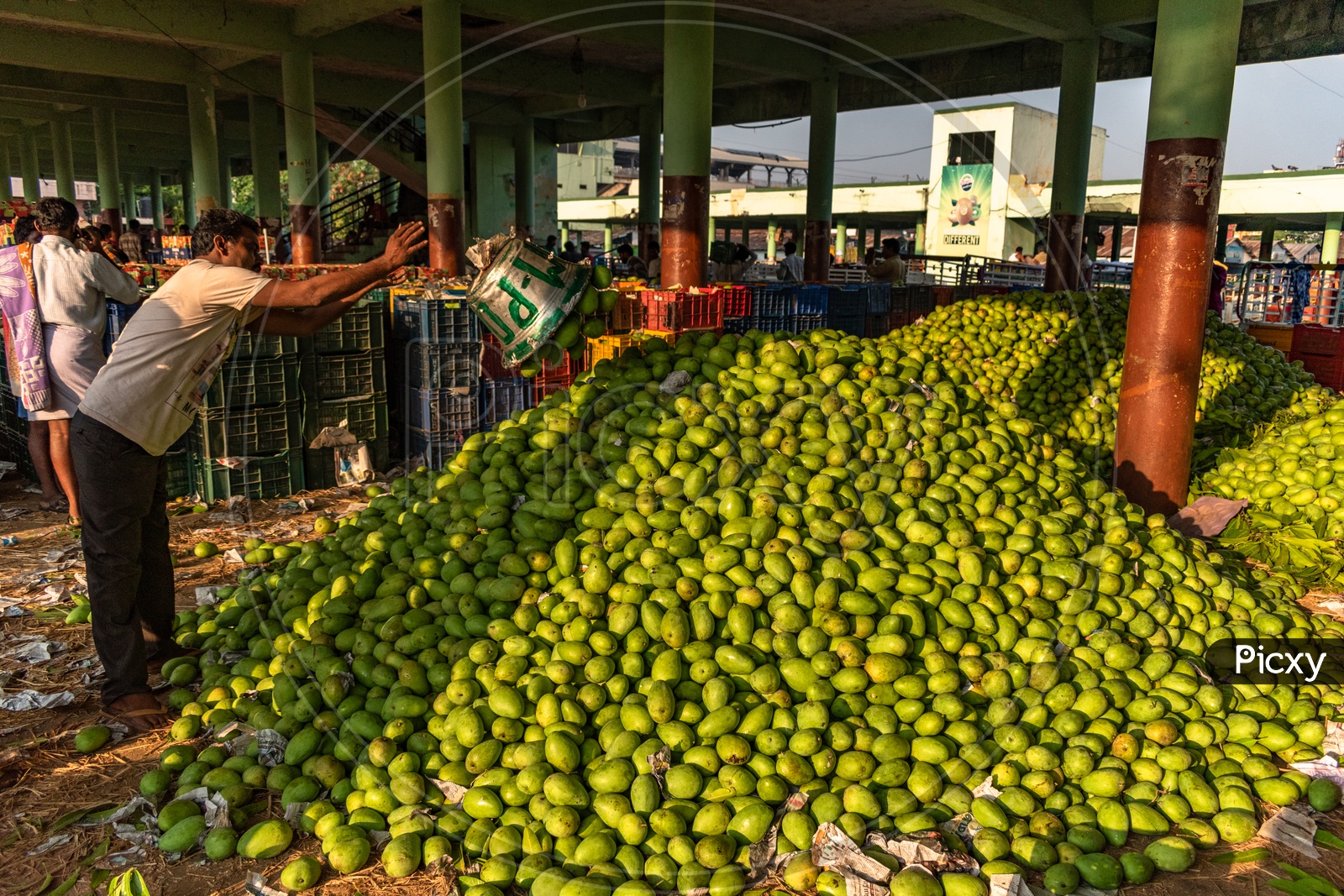 Image of Farmers unloading the mangoes stock at Kothapet fruit market