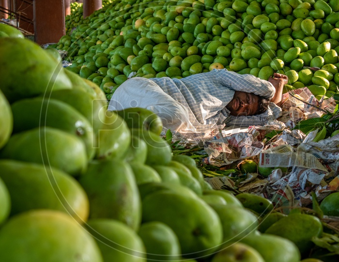 Farmer sleeping  in the midst of mangoes at Kothapet fruit market, Hyderabad.