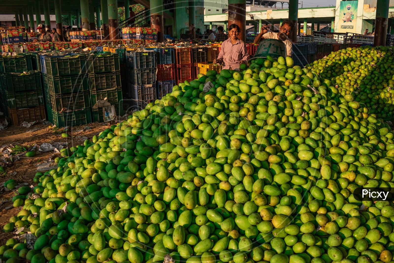 Image of Farmers unloading the mangoes stock at Kothapet fruit market