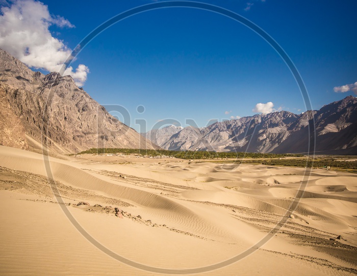 Sand Dunes In the River Valleys Of Leh