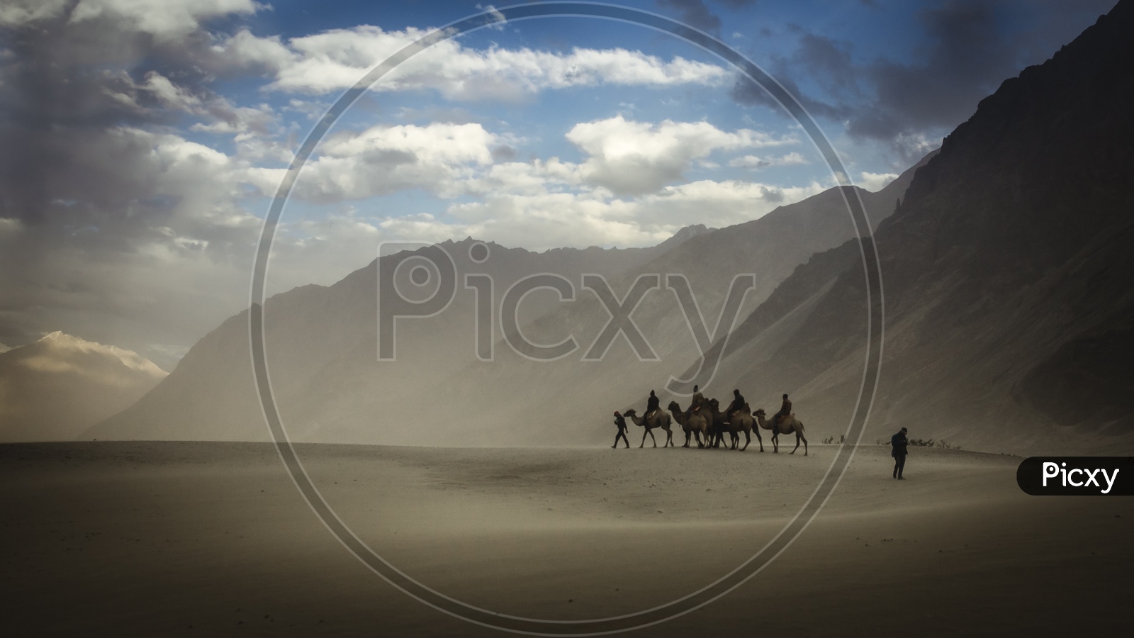 Camel Rides in Nubra Valley with Mountains in Background