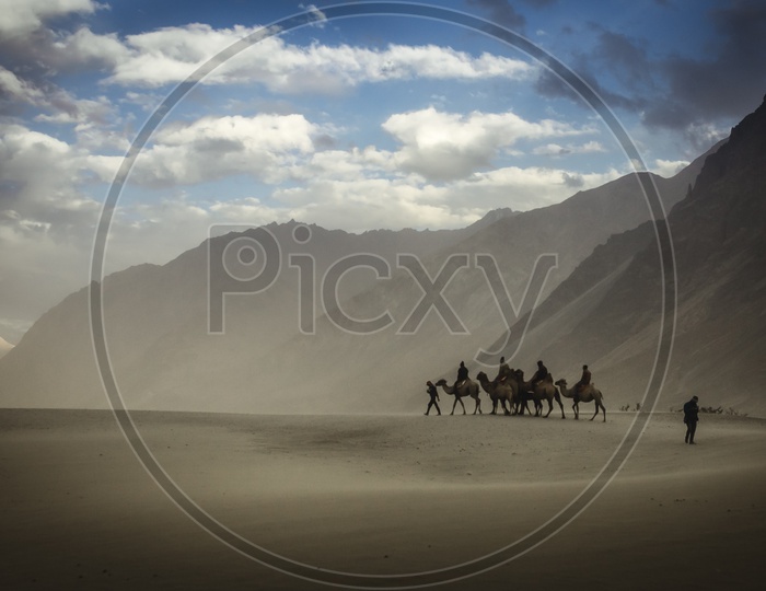 Camel Rides in Nubra Valley with Mountains in Background