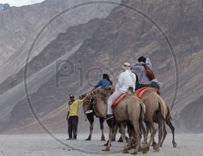 Camel Rides On The River Valley Of Nubra With Mountain Ranges In Background