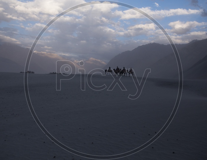 Camel Rides In the River Valleys Of Nubra With Mountain Ranges In Background