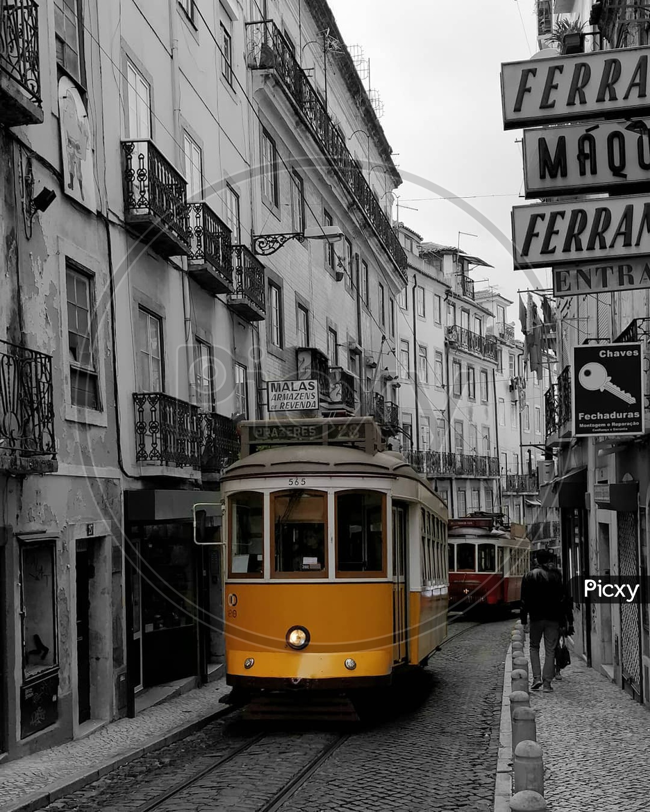 Lisbon Trams.