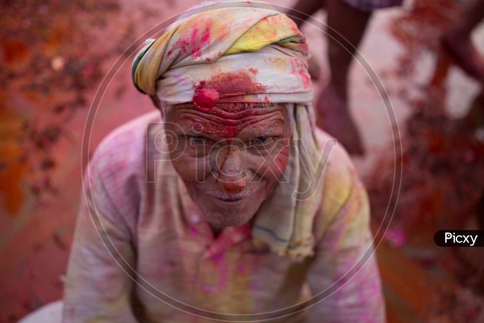 Old man's face covered with Holi colors