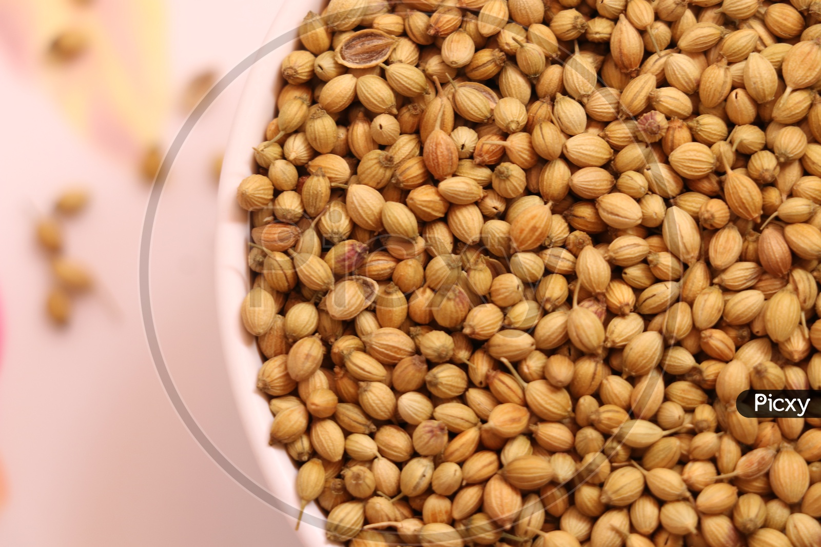 Whole and dried coriander seeds in a bowl