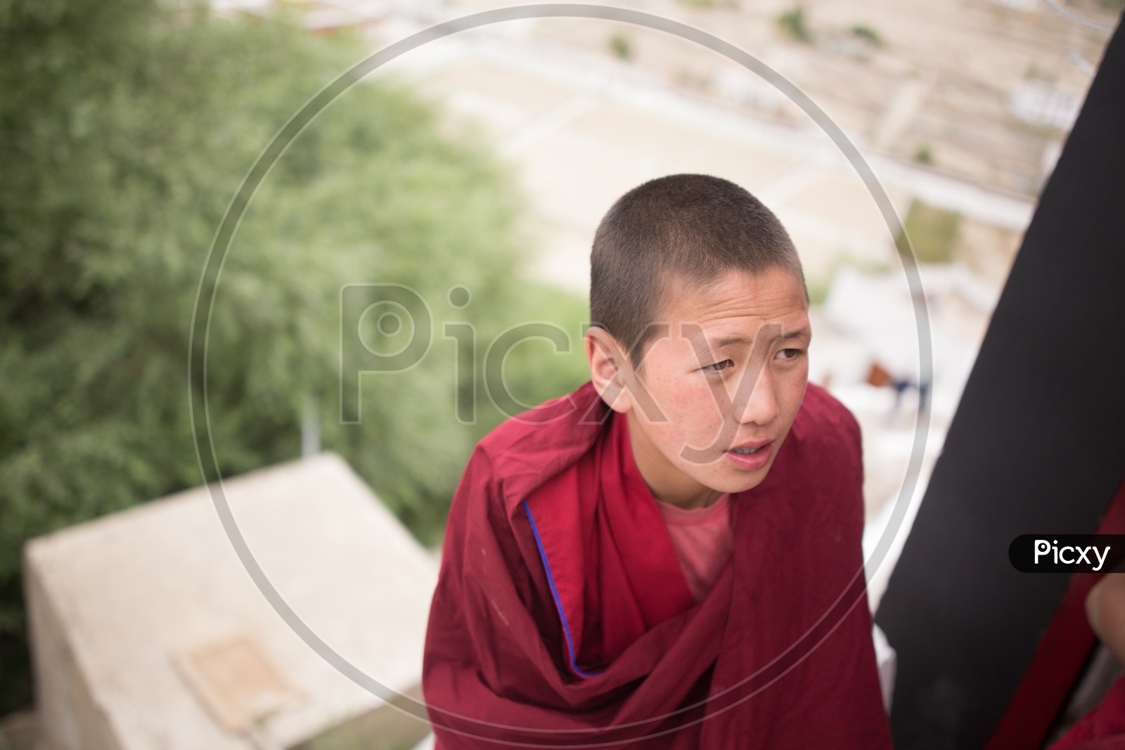 Portrait of a Young Buddhist Monk