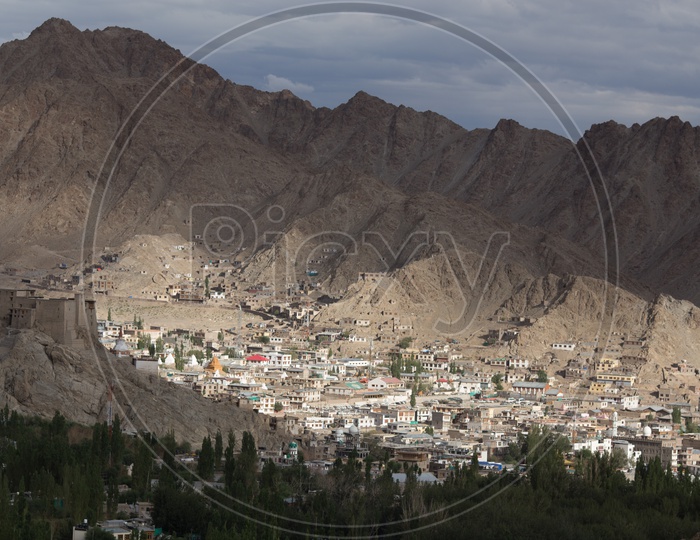 Landscape of Leh Mountains with houses in the foreground